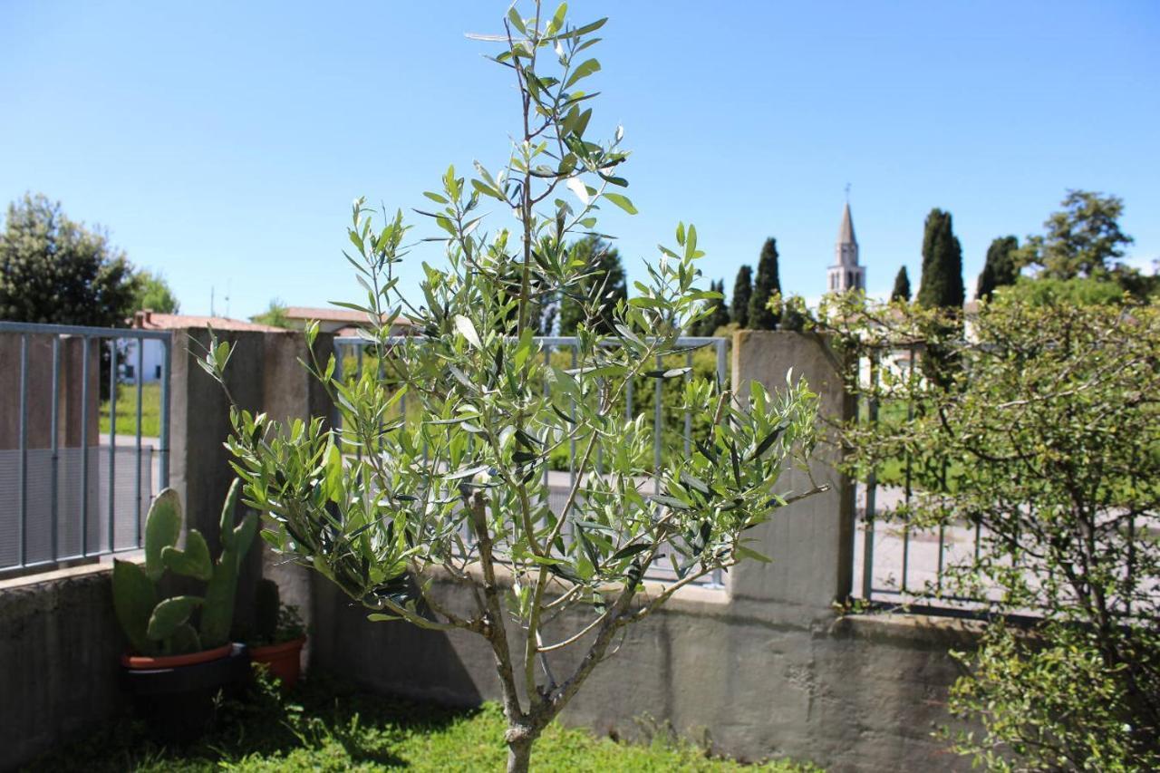 Villa Madi San Lorenzo  Экстерьер фото